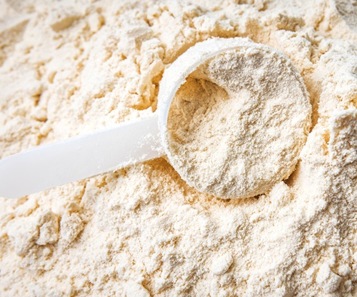 酪蛋白——骆驼乳中的主要蛋白质