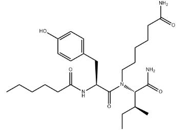 1401708-83-5 DihexaThe mechanism of action of Dihexa
