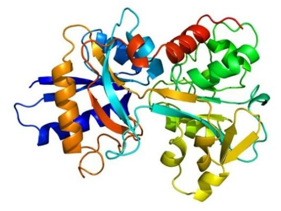 组蛋白5.png