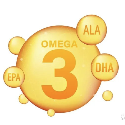 α-亚麻酸在体内转化为DHA和EPA