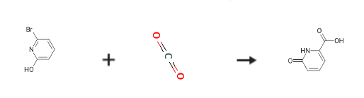 6-Hydroxypicolinic acid synthesis