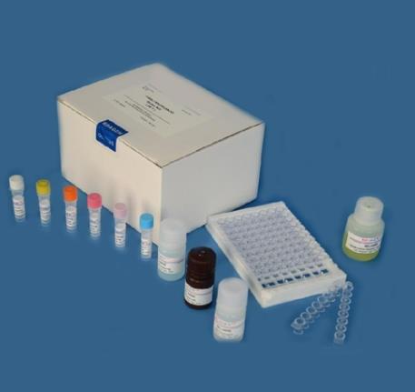 人甲状腺素抗体(TAb)Elisa试剂盒.png