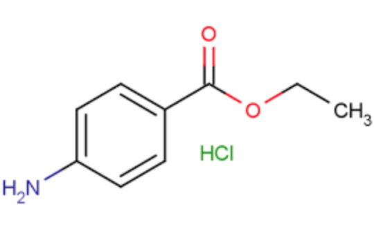 23239-88-5 Benzocaine hydrochloridecrystalline saltbenzocaine HCl
