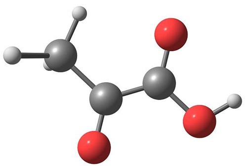 丙酮酸的生产方法的优化