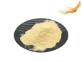 90045-38-8 Ginseng Extract