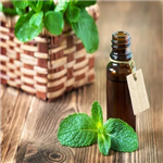 Peppermint Essential Oil pictures