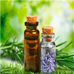 Lavender Oil,Lavender essential oil pictures
