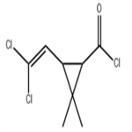 3-(2,2-Dichlorovinyl)-2,2-dimethylcyclopropanecarbonyl chloride pictures