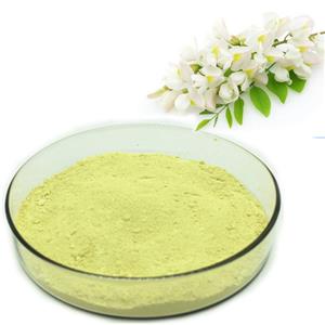 Genistein powder  50-98%Sophora Japonica Extract