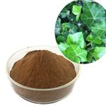 IVY extract pictures
