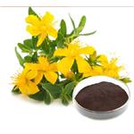 St. John\'s Wort Extract pictures