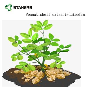 Peanut shell extract