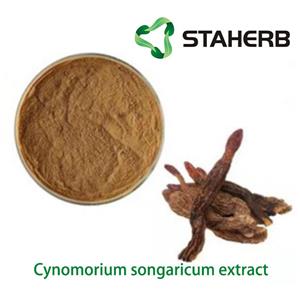 Cynomorium songaricum extract