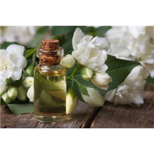 Jasmine Oil; Jasmine Flower Oil