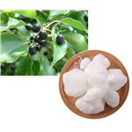 D-CAMPHOR; Camphor tree extract pictures