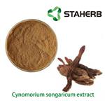 Cynomorium songaricum extract pictures