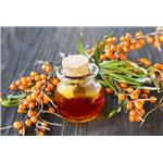 Hippophae Seed Oil pictures