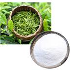 L-Epicatechin; Green tea extract pictures