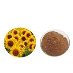 Sunflower extract; Lecithin pictures