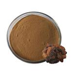 Chaga extract pictures