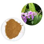 Banaba Leaf Extract pictures