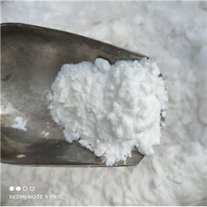 Sodium Methacrylate