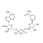 β-Nicotinamide adenine dinucleotide pictures