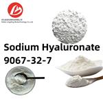 Sodium hyaluronate pictures