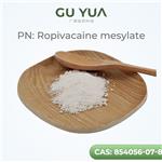 Ropivacaine mesylate pictures