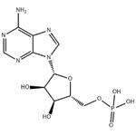 Adenosine 5'-monophosphate pictures