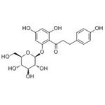 60-81-1 Phlorizin
