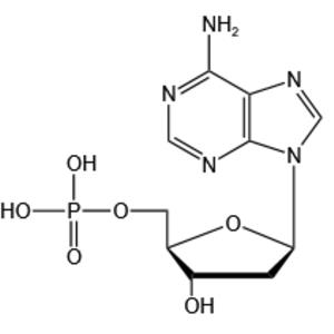 2'-Deoxyadenosine-5'-monophosphate(dAMP)