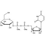 Uridine 5'-diphosphoglucose disodium salt (UDP-G-Na2) pictures