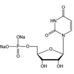 Uridine 5’-monophosphate disodium salt（UMP-Na2） pictures