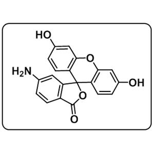 5(6)-Aminofluorescein