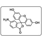 5(6)-Aminofluorescein pictures