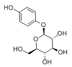 熊果苷/ 熊果酚甙/熊果苷/β-熊果苷