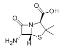 6-APA/6-氨基青霉烷酸/6-氨基青霉素酸/无侧链青霉