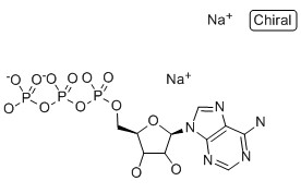三磷酸腺苷二钠/ATP/腺苷-5'-三磷酸二钠盐