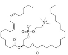 多烯磷脂酰胆碱