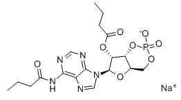 二丁酰环磷腺苷钠