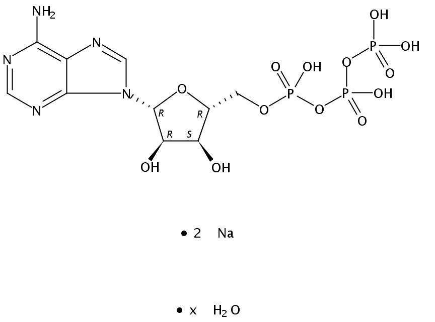 5-腺苷三磷酸二钠盐水合物