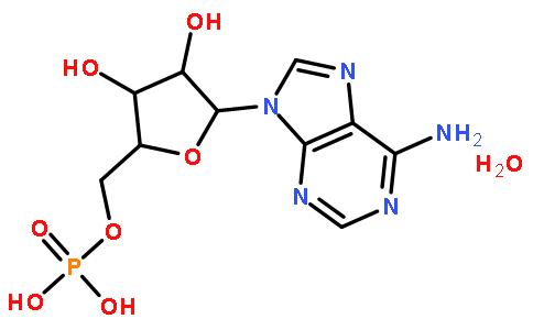 5′-腺苷一磷酸一水物