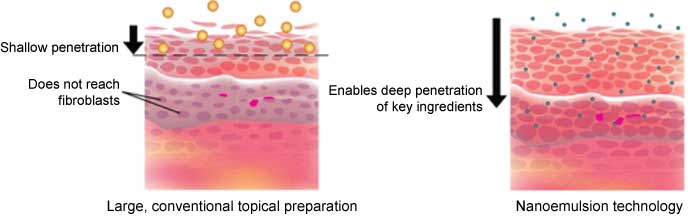 根皮素脂质体，纳米包裹根皮素，水溶性根皮素，根皮素纳米乳