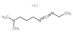 1-乙基-3-（3-二甲氨丙基）碳二亚胺盐酸盐
