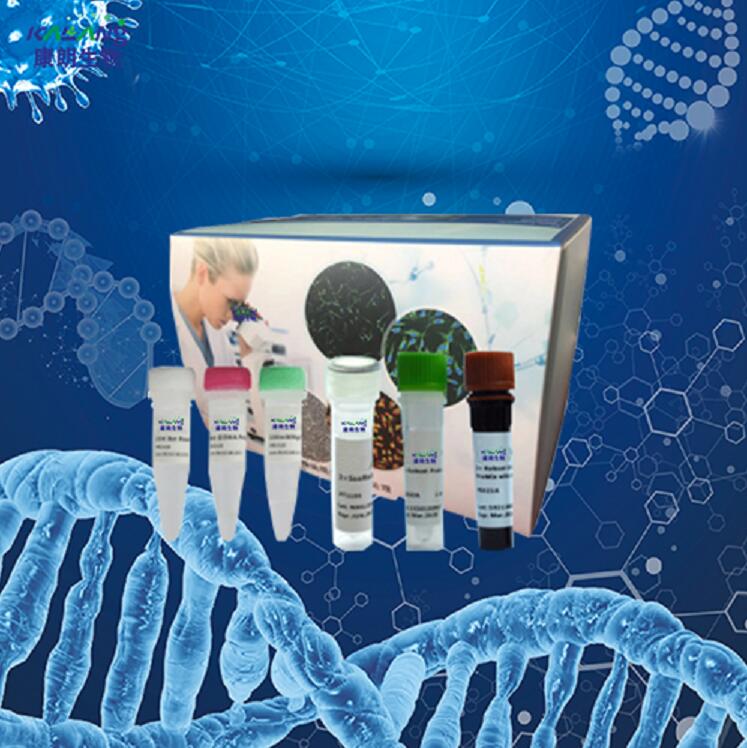欧洲放线菌PCR试剂盒