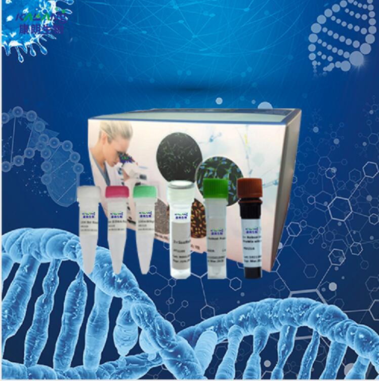 边缘无浆体(无形体)PCR试剂盒