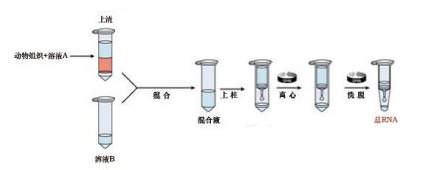 柱式DNA清除剂