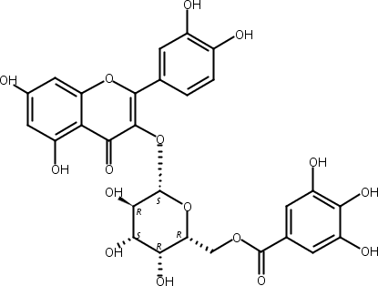 槲皮素3-O-(6''-没食子酰基)-β-D-半乳糖苷