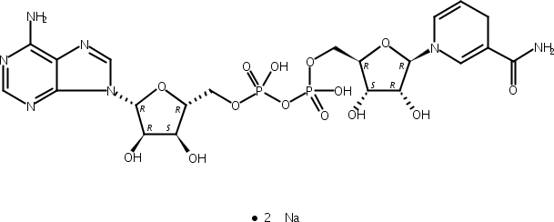 还原型辅酶I 二钠(β-NADH)